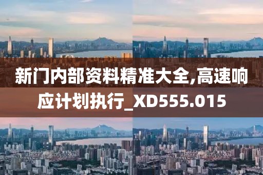 新门内部资料精准大全,高速响应计划执行_XD555.015