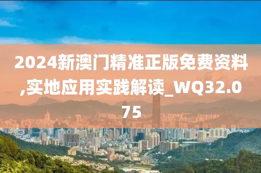 2024新澳门精准正版免费资料,实地应用实践解读_WQ32.075