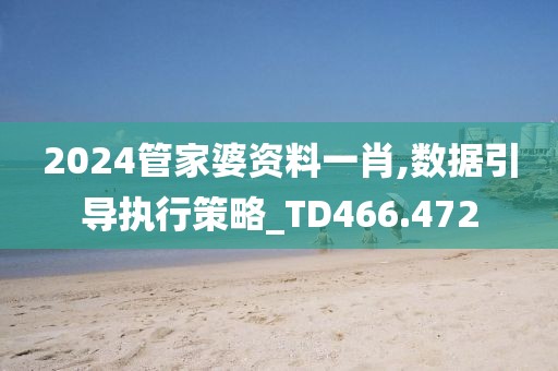 2024管家婆资料一肖,数据引导执行策略_TD466.472