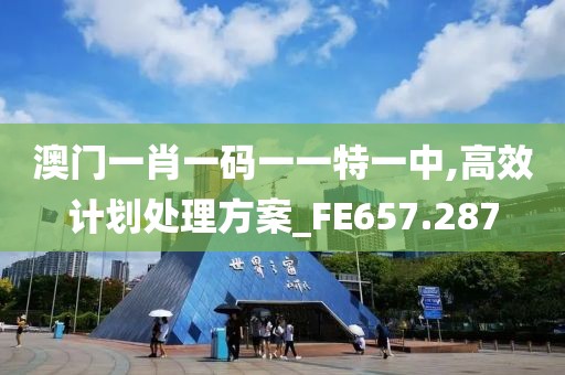 澳门一肖一码一一特一中,高效计划处理方案_FE657.287