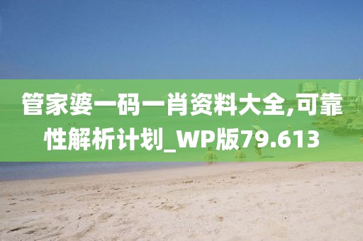 管家婆一码一肖资料大全,可靠性解析计划_WP版79.613