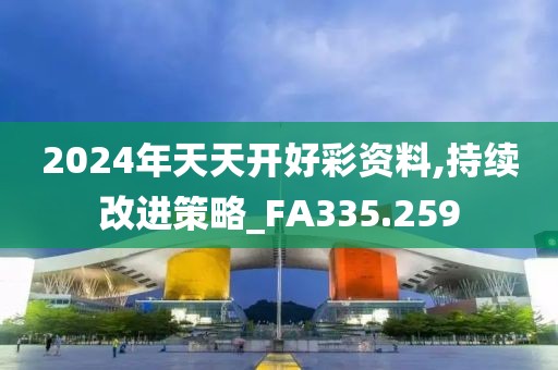 2024年天天开好彩资料,持续改进策略_FA335.259