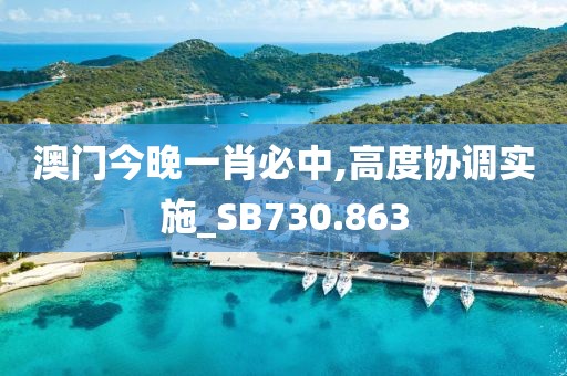 澳门今晚一肖必中,高度协调实施_SB730.863
