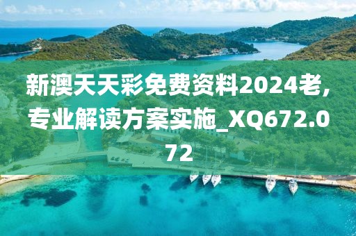 新澳天天彩免费资料2024老,专业解读方案实施_XQ672.072