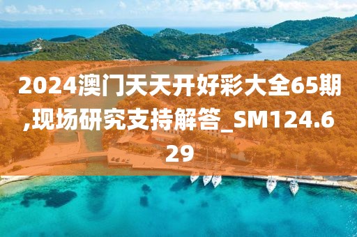 2024澳门天天开好彩大全65期,现场研究支持解答_SM124.629