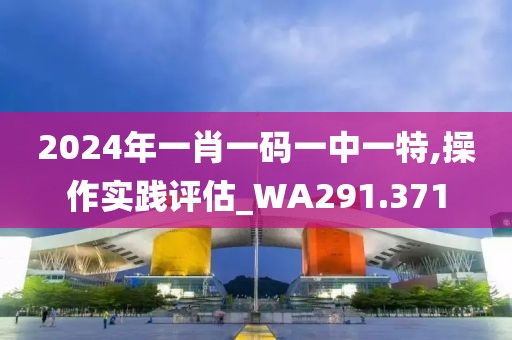2024年一肖一码一中一特,操作实践评估_WA291.371