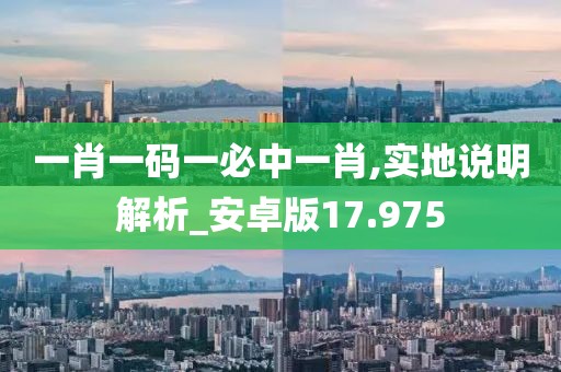 一肖一码一必中一肖,实地说明解析_安卓版17.975