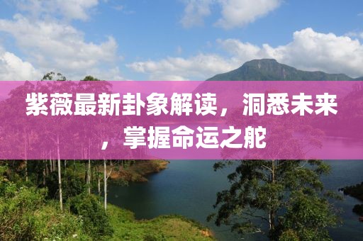 紫薇最新卦象解读，洞悉未来，掌握命运之舵