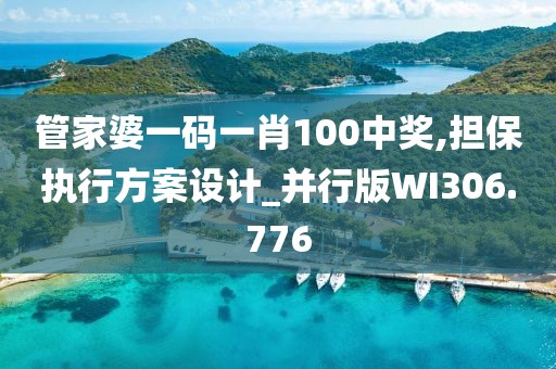管家婆一码一肖100中奖,担保执行方案设计_并行版WI306.776