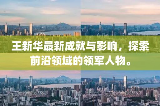 王新华最新成就与影响，探索前沿领域的领军人物。