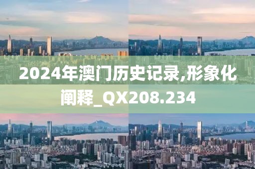 2024年澳门历史记录,形象化阐释_QX208.234