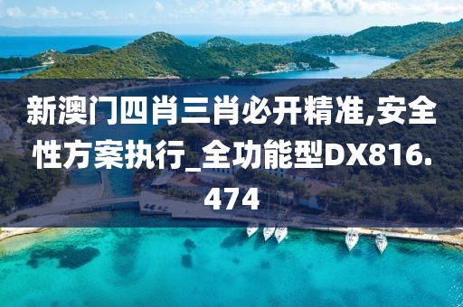 新澳门四肖三肖必开精准,安全性方案执行_全功能型DX816.474