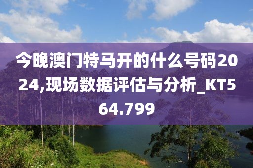今晚澳门特马开的什么号码2024,现场数据评估与分析_KT564.799
