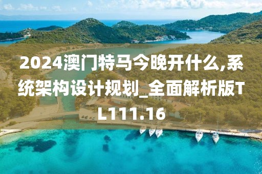 2024澳门特马今晚开什么,系统架构设计规划_全面解析版TL111.16