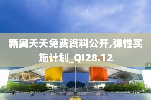 新奥天天免费资料公开,弹性实施计划_QI28.12