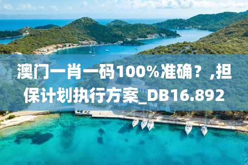 澳门一肖一码100%准确？,担保计划执行方案_DB16.892