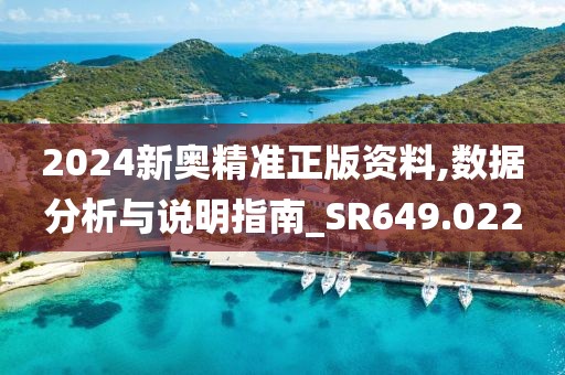 2024新奥精准正版资料,数据分析与说明指南_SR649.022