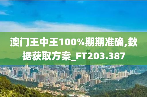 澳门王中王100%期期准确,数据获取方案_FT203.387