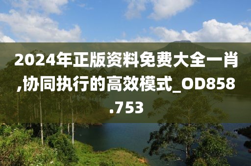 2024年正版资料免费大全一肖,协同执行的高效模式_OD858.753