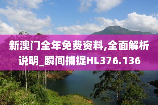 新澳门全年免费资料,全面解析说明_瞬间捕捉HL376.136