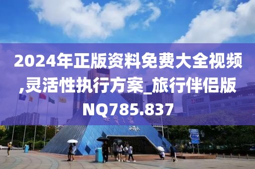 2024年正版资料免费大全视频,灵活性执行方案_旅行伴侣版NQ785.837