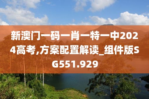 新澳门一码一肖一特一中2024高考,方案配置解读_组件版SG551.929