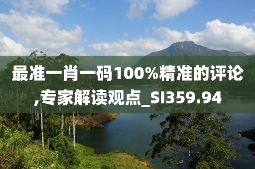 最准一肖一码100%精准的评论,专家解读观点_SI359.94