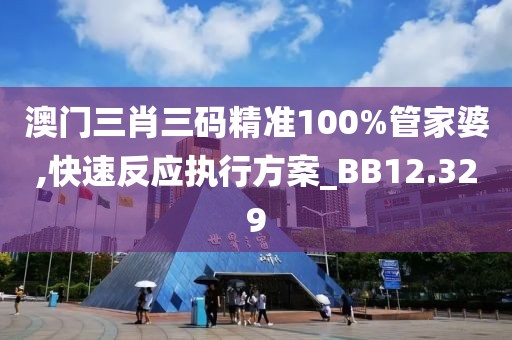 澳门三肖三码精准100%管家婆,快速反应执行方案_BB12.329