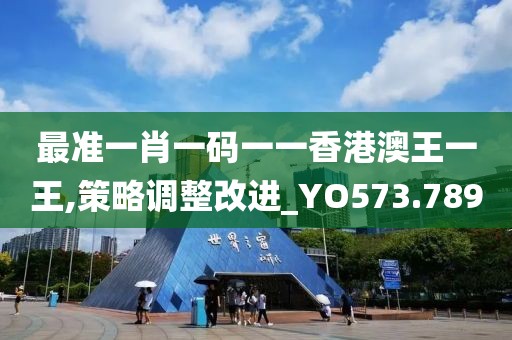 最准一肖一码一一香港澳王一王,策略调整改进_YO573.789