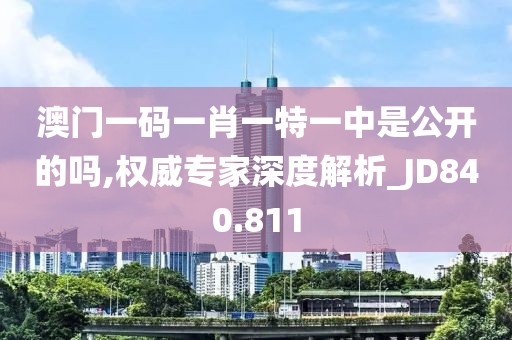 澳门一码一肖一特一中是公开的吗,权威专家深度解析_JD840.811