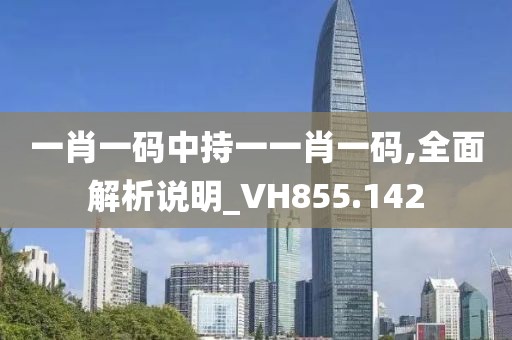 一肖一码中持一一肖一码,全面解析说明_VH855.142