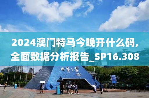 2024澳门特马今晚开什么码,全面数据分析报告_SP16.308