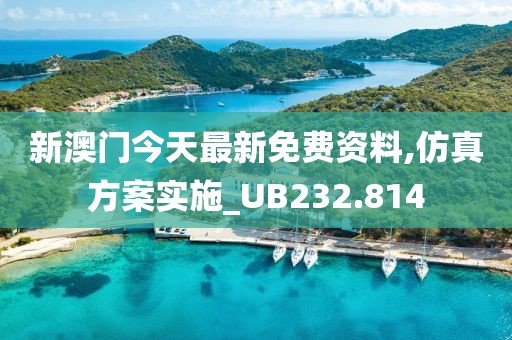 新澳门今天最新免费资料,仿真方案实施_UB232.814