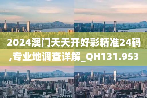 2024澳门天天开好彩精准24码,专业地调查详解_QH131.953