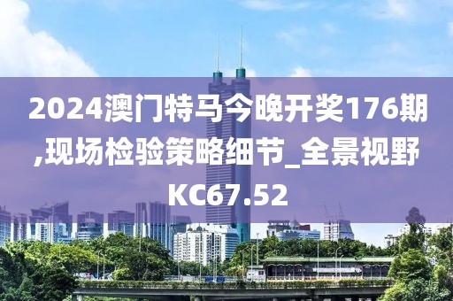 2024澳门特马今晚开奖176期,现场检验策略细节_全景视野KC67.52