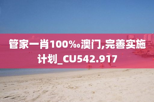 管家一肖100‰澳门,完善实施计划_CU542.917