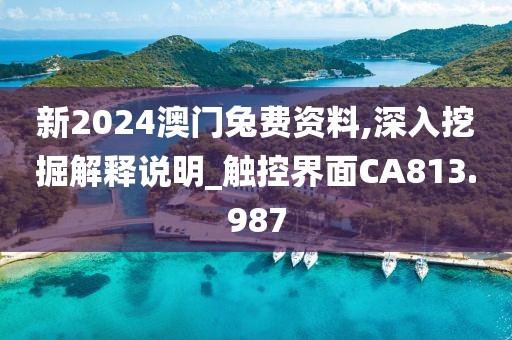 新2024澳门兔费资料,深入挖掘解释说明_触控界面CA813.987