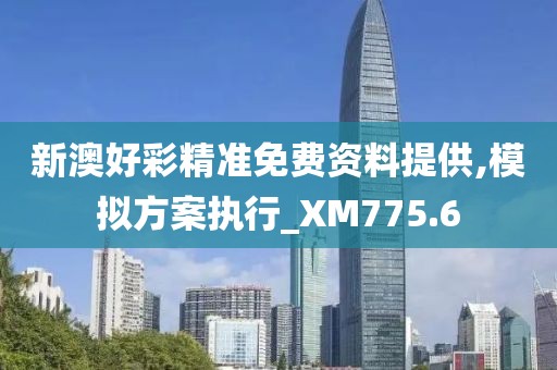 新澳好彩精准免费资料提供,模拟方案执行_XM775.6