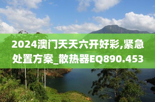 2024澳门天天六开好彩,紧急处置方案_散热器EQ890.453