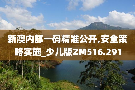 新澳内部一码精准公开,安全策略实施_少儿版ZM516.291