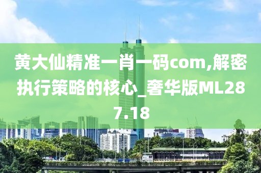 黄大仙精准一肖一码com,解密执行策略的核心_奢华版ML287.18