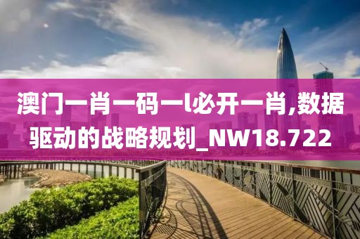 澳门一肖一码一l必开一肖,数据驱动的战略规划_NW18.722