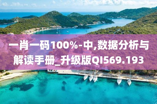 一肖一码100%-中,数据分析与解读手册_升级版QI569.193