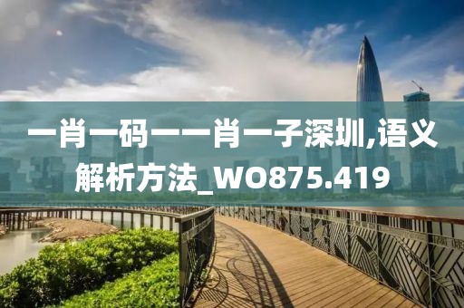 一肖一码一一肖一子深圳,语义解析方法_WO875.419
