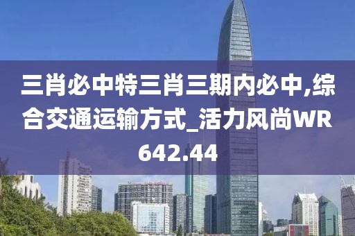 三肖必中特三肖三期内必中,综合交通运输方式_活力风尚WR642.44