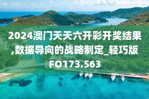 2024澳门天天六开彩开奖结果,数据导向的战略制定_轻巧版FO173.563
