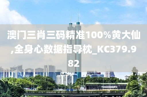 澳门三肖三码精准100%黄大仙,全身心数据指导枕_KC379.982