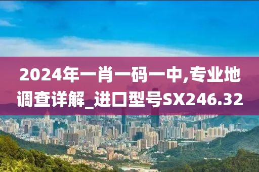 2024年一肖一码一中,专业地调查详解_进口型号SX246.32