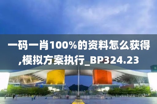 一码一肖100%的资料怎么获得,模拟方案执行_BP324.23