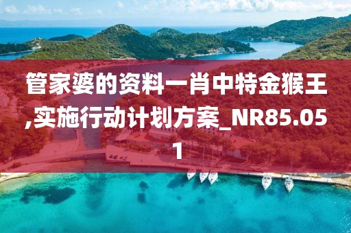 管家婆的资料一肖中特金猴王,实施行动计划方案_NR85.051